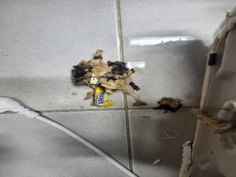 화성 배관 이물질 제거 사례 1